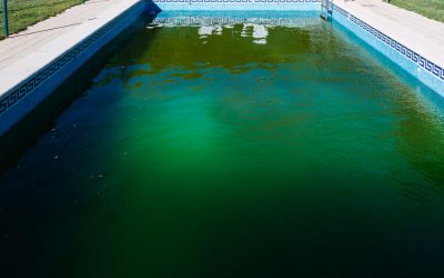 Swimming Pool Algae Cause, Effects, Treatment, & Prevention