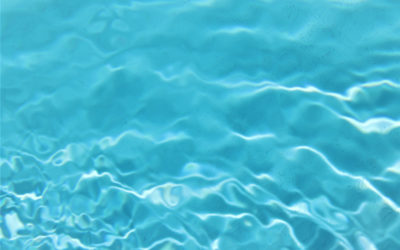 Pool Clarifier vs Pool Flocculant