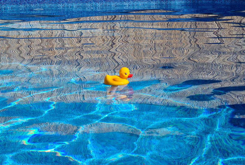 rubber ducky in pool